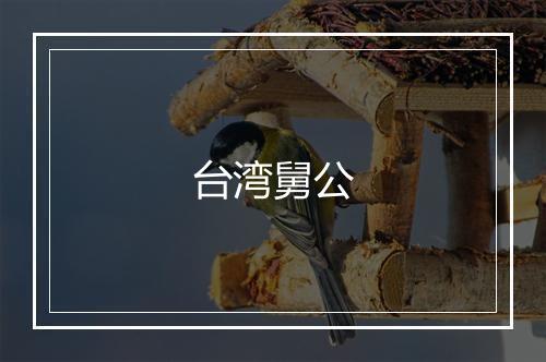 台湾舅公