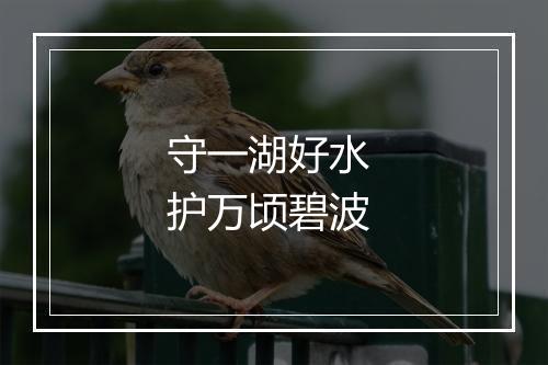 守一湖好水 护万顷碧波