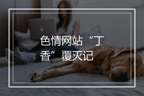 色情网站“丁香”覆灭记