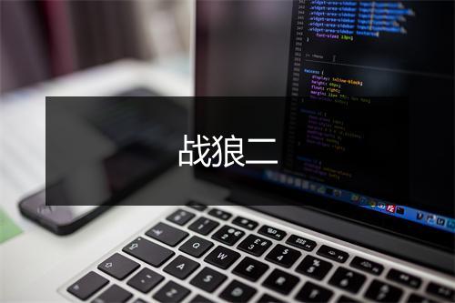 战狼二