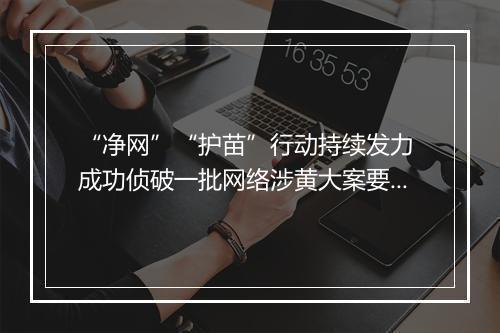 “净网”“护苗”行动持续发力 成功侦破一批网络涉黄大案要案