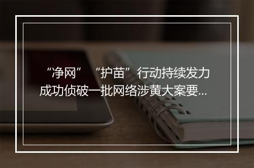 “净网”“护苗”行动持续发力 成功侦破一批网络涉黄大案要案