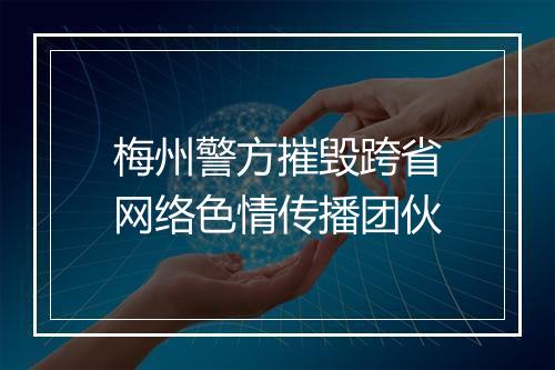 梅州警方摧毁跨省网络色情传播团伙