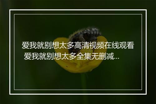 爱我就别想太多高清视频在线观看 爱我就别想太多全集无删减免费看