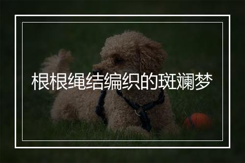 根根绳结编织的斑斓梦