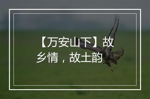 【万安山下】故乡情，故土韵