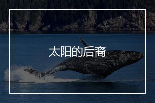 太阳的后裔