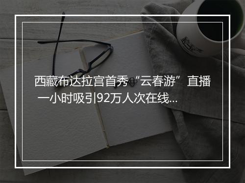 西藏布达拉宫首秀“云春游”直播 一小时吸引92万人次在线观看