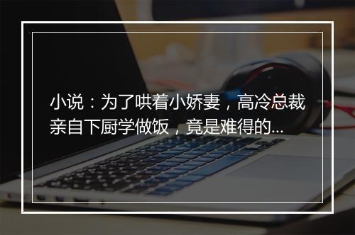 小说：为了哄着小娇妻，高冷总裁亲自下厨学做饭，竟是难得的好吃