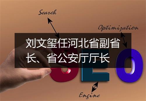 刘文玺任河北省副省长、省公安厅厅长