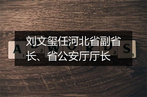 刘文玺任河北省副省长、省公安厅厅长