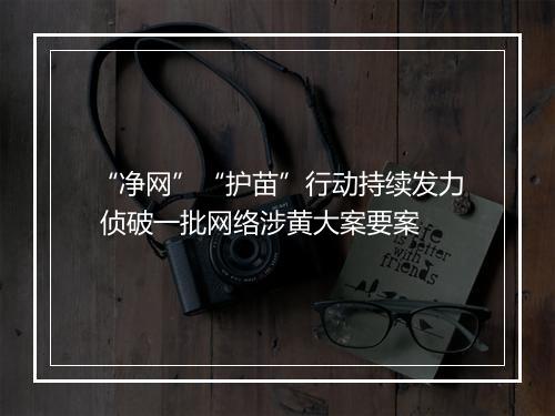“净网”“护苗”行动持续发力 侦破一批网络涉黄大案要案