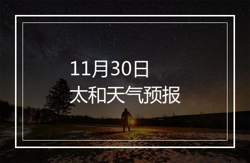 11月30日太和天气预报