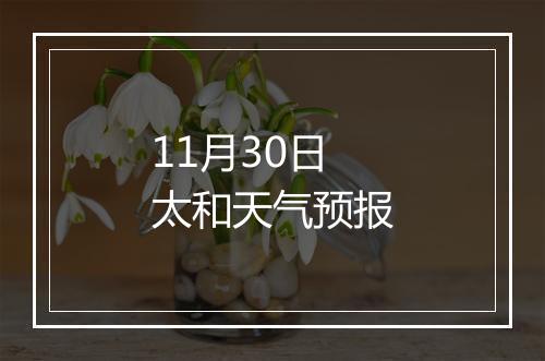 11月30日太和天气预报