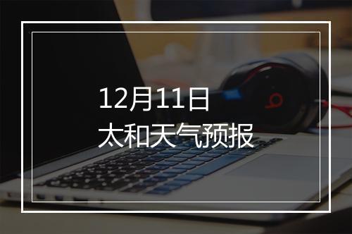 12月11日太和天气预报