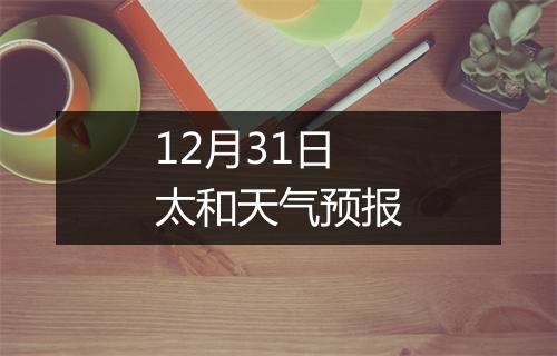 12月31日太和天气预报