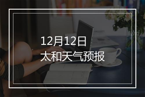 12月12日太和天气预报