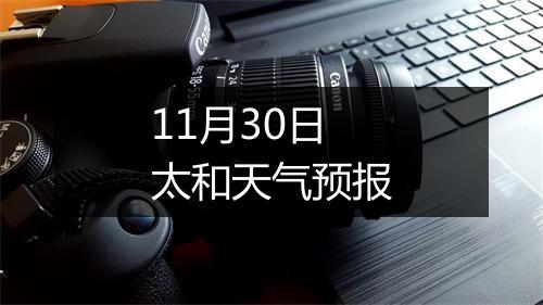 11月30日太和天气预报