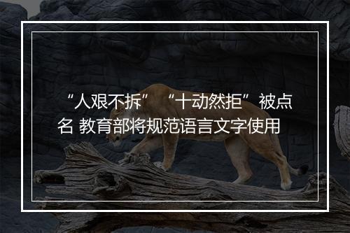 “人艰不拆”“十动然拒”被点名 教育部将规范语言文字使用