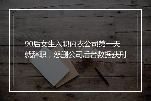 90后女生入职内衣公司第一天就辞职，怒删公司后台数据获刑