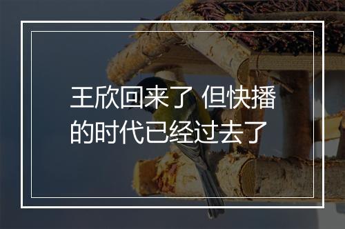 王欣回来了 但快播的时代已经过去了