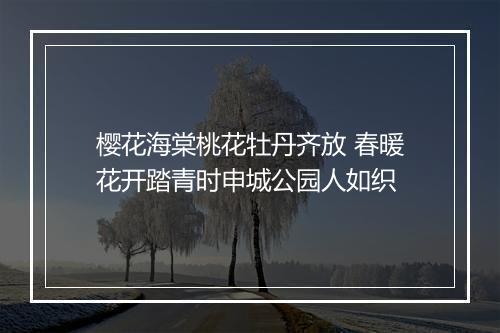 樱花海棠桃花牡丹齐放 春暖花开踏青时申城公园人如织