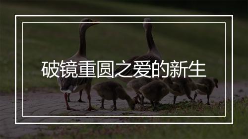 破镜重圆之爱的新生