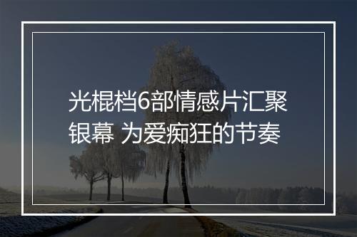 光棍档6部情感片汇聚银幕 为爱痴狂的节奏