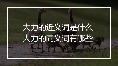 大力的近义词是什么 大力的同义词有哪些