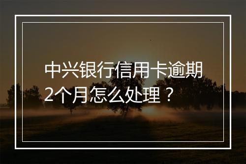 中兴银行信用卡逾期2个月怎么处理？