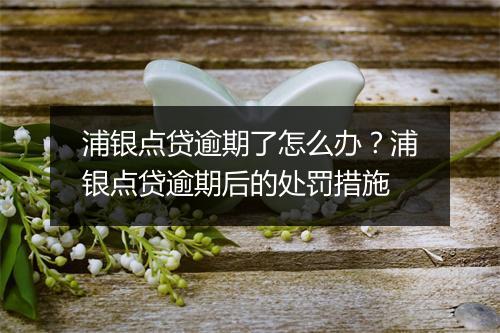 浦银点贷逾期了怎么办？浦银点贷逾期后的处罚措施