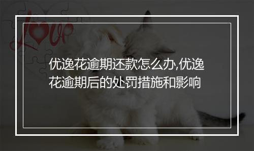 优逸花逾期还款怎么办,优逸花逾期后的处罚措施和影响