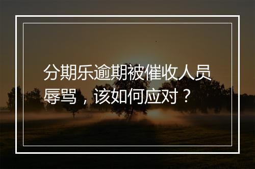 分期乐逾期被催收人员辱骂，该如何应对？