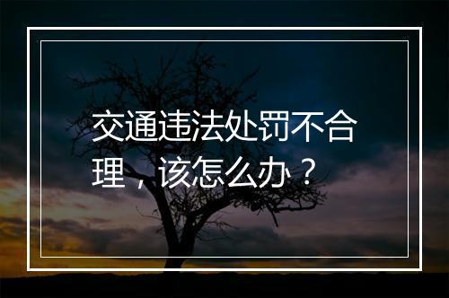 交通违法处罚不合理，该怎么办？