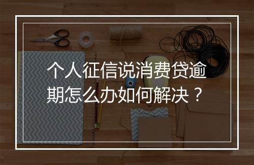 个人征信说消费贷逾期怎么办如何解决？
