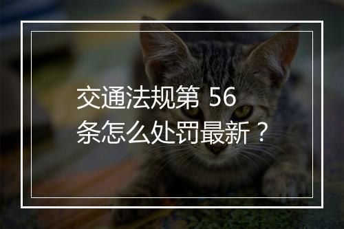 交通法规第 56 条怎么处罚最新？