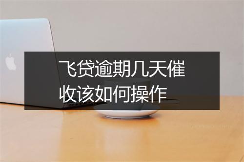 飞贷逾期几天催收该如何操作