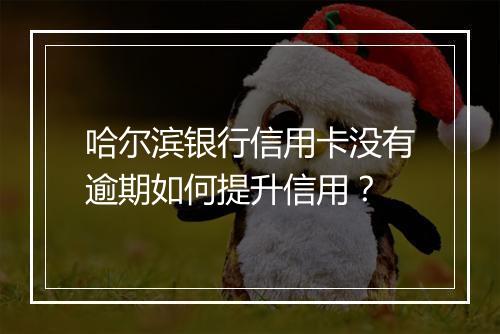 哈尔滨银行信用卡没有逾期如何提升信用？