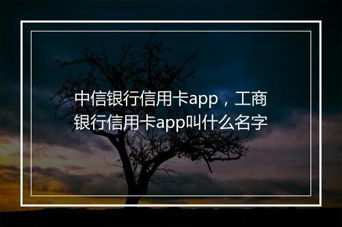 中信银行信用卡app，工商银行信用卡app叫什么名字