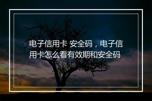 电子信用卡 安全码，电子信用卡怎么看有效期和安全码