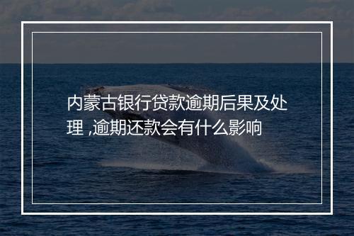 内蒙古银行贷款逾期后果及处理 ,逾期还款会有什么影响