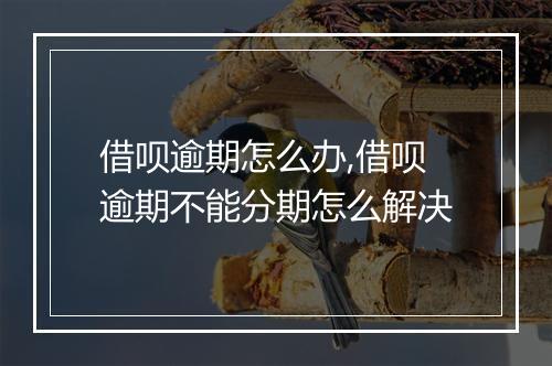 借呗逾期怎么办,借呗逾期不能分期怎么解决