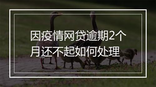 因疫情网贷逾期2个月还不起如何处理