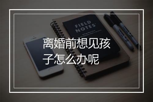 离婚前想见孩子怎么办呢