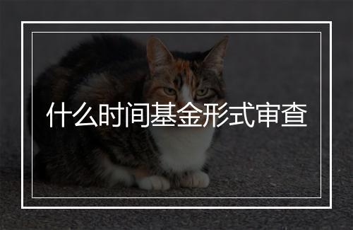 什么时间基金形式审查