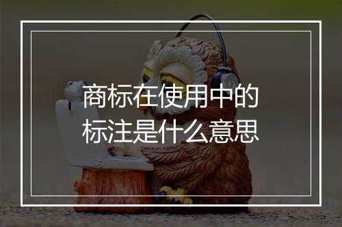 商标在使用中的标注是什么意思