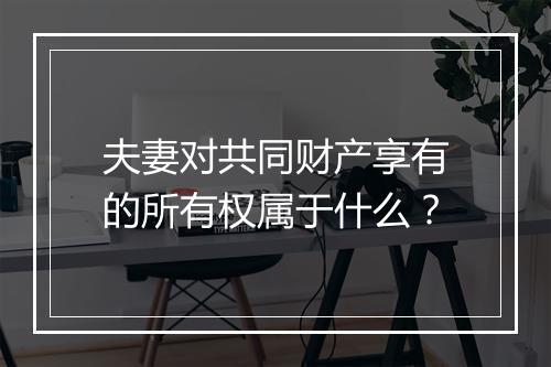 夫妻对共同财产享有的所有权属于什么？