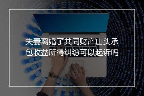 夫妻离婚了共同财产山头承包收益所得纠纷可以起诉吗