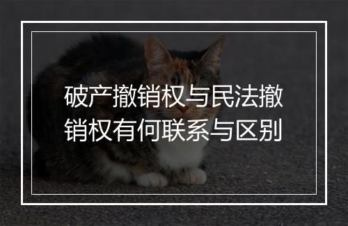 破产撤销权与民法撤销权有何联系与区别