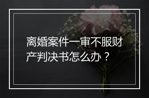 离婚案件一审不服财产判决书怎么办？
